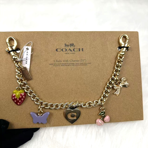 Coach Gold Swagger Chain with Charms, Cherry Strawberry Bow Heart CW663 …